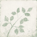 Image Not Available